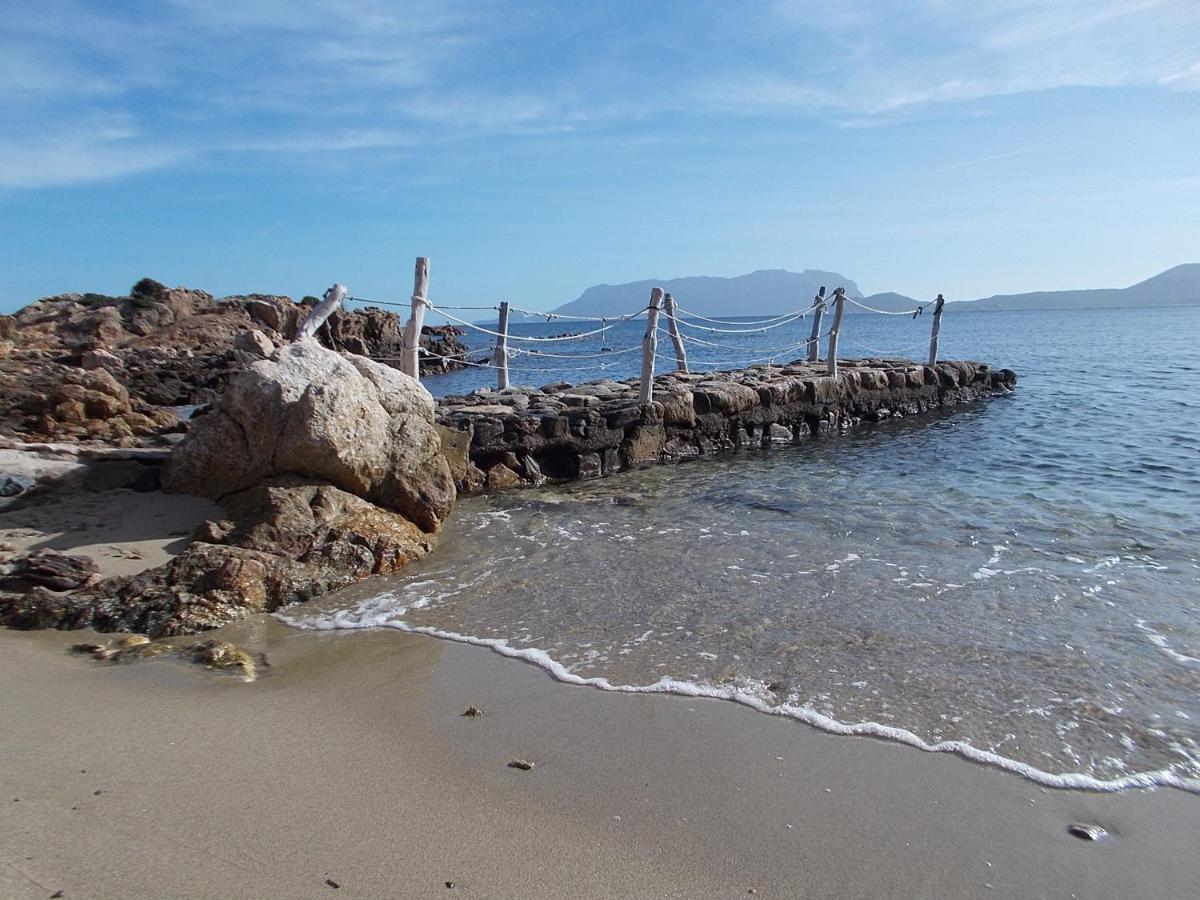Magibac Due - Casa Vicino Aeroporto E Mater Olbia Daire Dış mekan fotoğraf