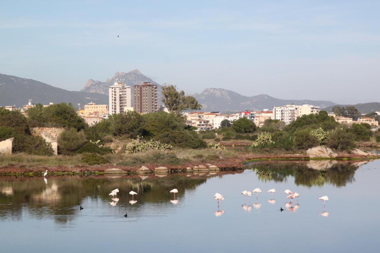 Magibac Due - Casa Vicino Aeroporto E Mater Olbia Daire Dış mekan fotoğraf