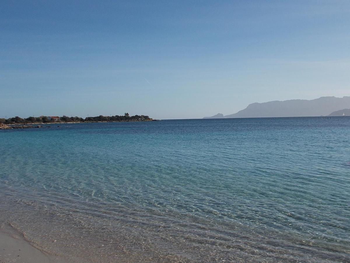 Magibac Due - Casa Vicino Aeroporto E Mater Olbia Daire Dış mekan fotoğraf
